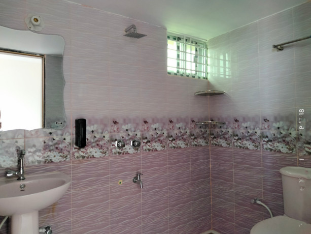 daun-pement-krei-flzate-uthte-parben-big-3