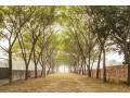 5-katha-plot-sale-at-purbachal-by-navana-small-0