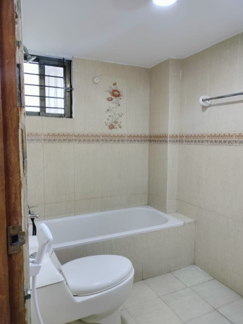 foreigner-and-family-long-term-stay-luxurious-3-bedroom-apartment-for-rent-in-bashundhara-ra-big-4