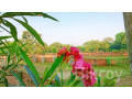 agameer-shr-puurwacle-plt-kinun-at-navana-highland-small-4