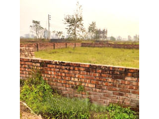 P Block, 5 Katha, North Face, in Plot Sale, Bashundhara R/A