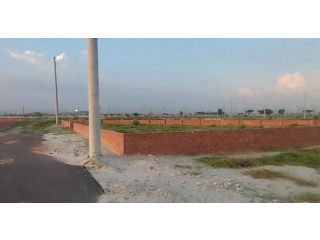 P Block, 3+3=6 Katha, North Face, Plot Sale, Bashundhara R/A