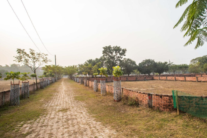 navana-theke-zouth-udzoge-jmi-kine-flzater-malik-hon-big-1