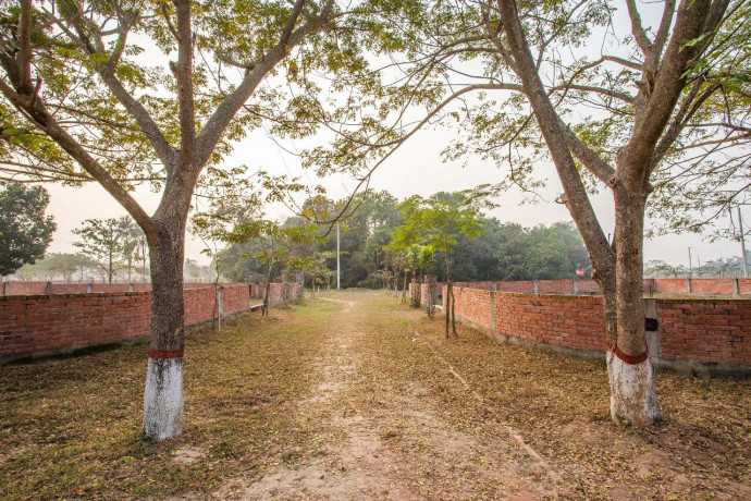 navana-theke-zouth-udzoge-jmi-kine-flzater-malik-hon-big-0