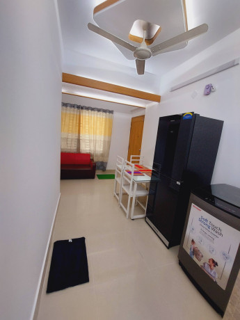 premium-1-bhk-furnished-apartment-rent-in-bashundhara-ra-big-2