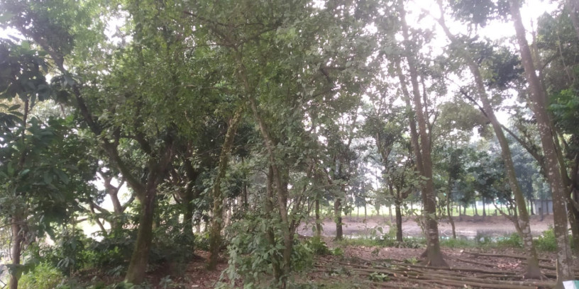 jmi-sh-pukur-bikri-hbe-big-4