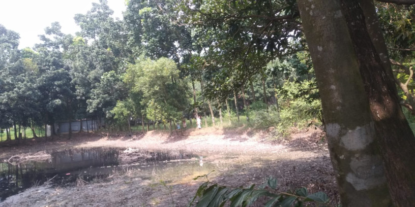 jmi-sh-pukur-bikri-hbe-big-3