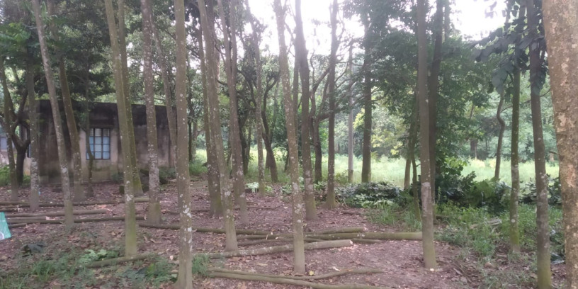 jmi-sh-pukur-bikri-hbe-big-1