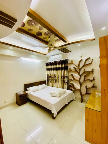 luxurious-4-bedroom-apartment-rent-in-bashundhara-ra-big-4