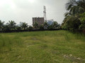 commercial-plot-sale-block-i-extension-61-katha-south-bashundhara-ra-small-4