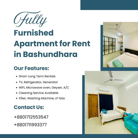 fully-furnished-2bhk-apartment-for-rent-bashundhara-ra-big-0