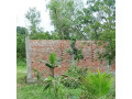 land-for-rent-small-2