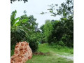 land-for-rent-small-1