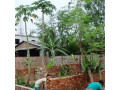 land-for-rent-small-3