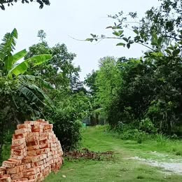 land-for-rent-big-1