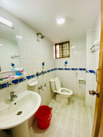 furnished-chic-3-bedroom-flat-rent-in-bashundhara-radhaka-big-4