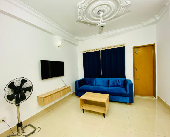 2-bhk-serviced-apartment-for-short-or-long-term-rent-big-4