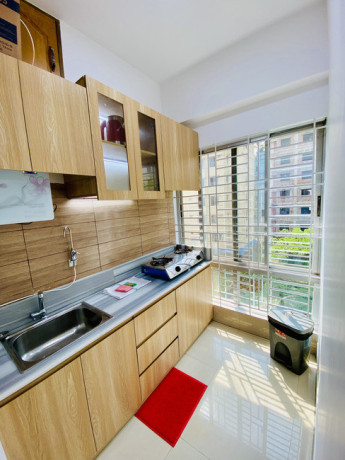 2bhk-apartment-for-rent-in-bashundhara-ra-furnished-big-2