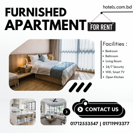 modern-fully-furnished-1-bhk-apartment-big-0