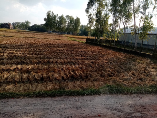 land-for-sale-big-0