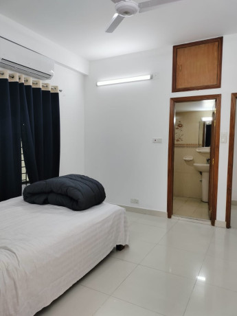 charmy-furnished-3-bhk-apartment-rent-in-bashundhara-ra-big-1