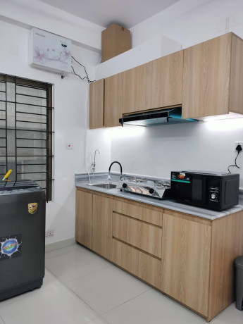 charmy-furnished-3-bhk-apartment-rent-in-bashundhara-ra-big-4