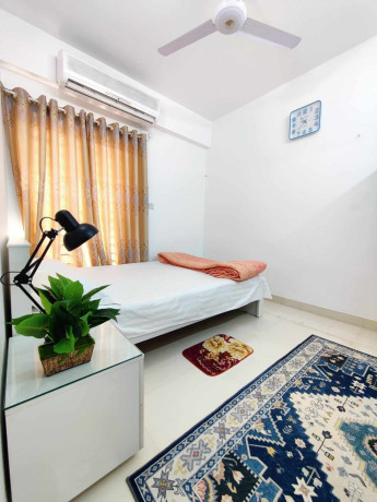 2-bedroom-apartment-for-rent-in-bashundhara-furnished-big-0