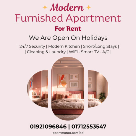 furnished-1234-bhk-apt-rent-in-bashundhara-ra-big-0