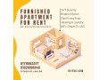 comfortable-2-bedroom-furnished-apartment-for-rent-in-bashundhara-ra-small-0