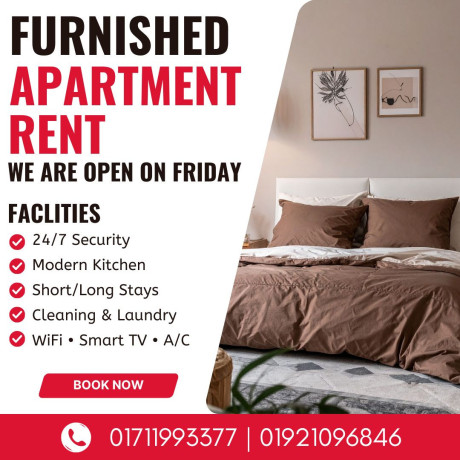 modern-two-room-furnished-serviced-apartment-375-sq-ft-big-0
