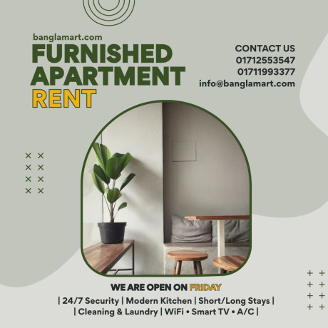 furnished-ch-2-bedroom-apartment-rent-in-bashundhara-ra-big-0