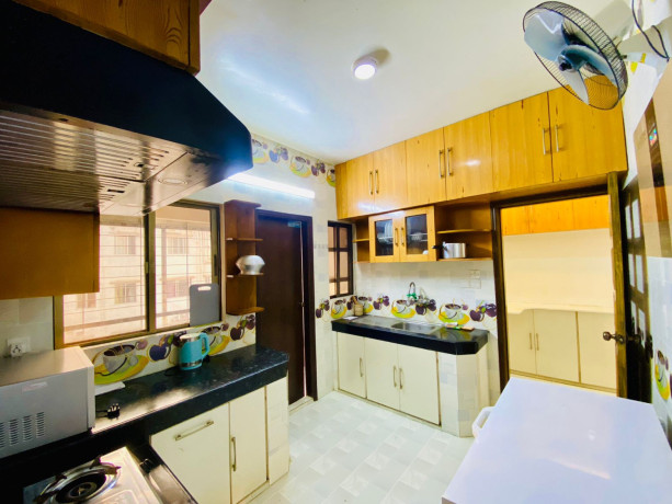 fully-furnished-premium-4-bedroom-apartment-in-bashundhara-ra-big-4