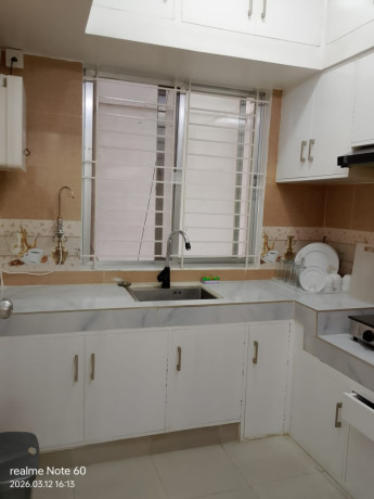 luxurio-2-bedroom-furnished-apt-rent-in-bashundhara-ra-big-4