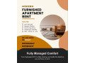 luxury-fully-furnished-2bhk-apartment-for-rent-in-bashundhara-small-0