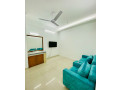 luxury-1234-bedroom-apartment-rent-in-bashundhara-ra-small-3