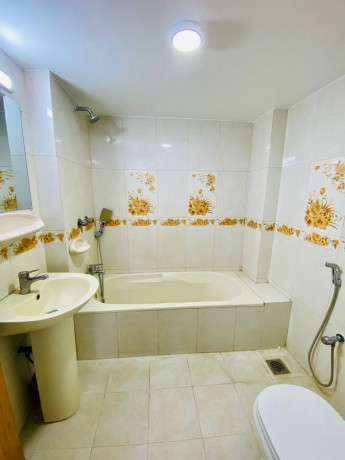 luxury-1234-bedroom-apartment-rent-in-bashundhara-ra-big-4
