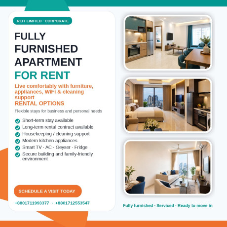 fully-furnished-1-br-apartment-for-rent-in-bashundhara-ra-big-0