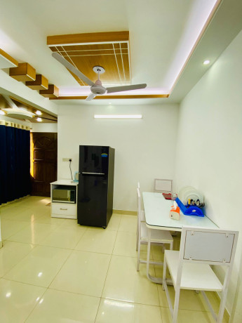 fully-furnished-2-br-serviced-apartment-bashundhara-ra-big-2