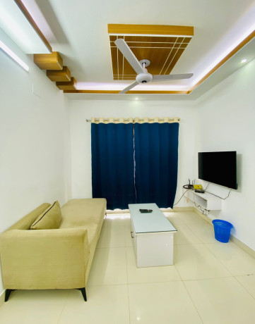 fully-furnished-2-br-serviced-apartment-bashundhara-ra-big-1