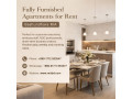 modern-furnished-1-br-flat-bashundhara-300-sq-ft-small-3