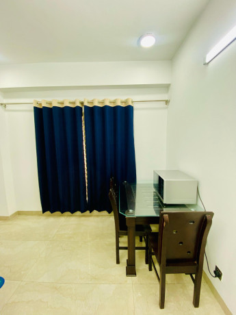 modern-furnished-1-br-flat-bashundhara-300-sq-ft-big-1