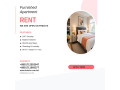 fully-furnished-apartments-for-rent-in-bashundhara-ra-dhaka-small-0