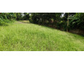 urgent-land-sell-small-3