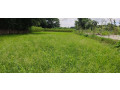 urgent-land-sell-small-4