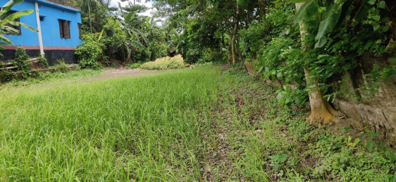 urgent-land-sell-big-2