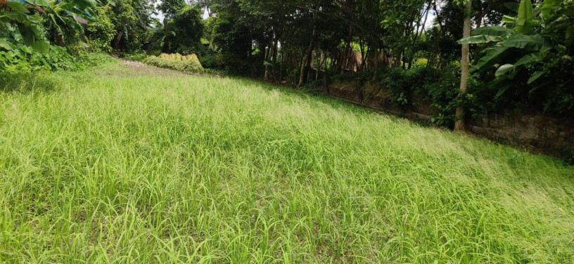 urgent-land-sell-big-3