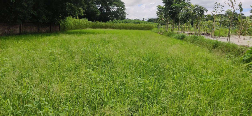 urgent-land-sell-big-4