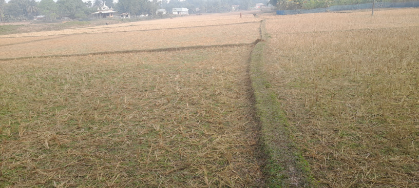 750-stk-jayga-bikri-hbe-big-1